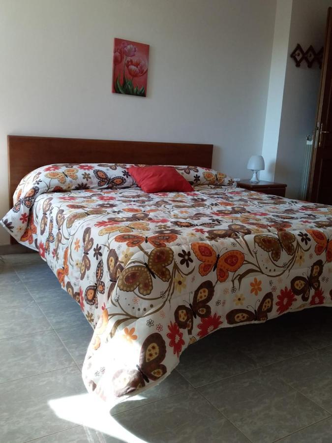 Apartment Casamarty